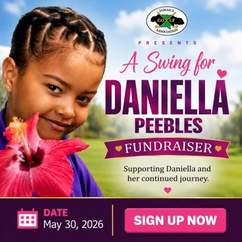 A Swing for Daniella Peebles Fundraiser
